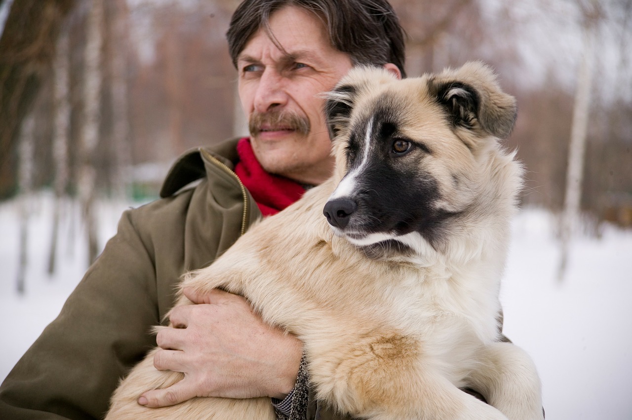 Quelles préventions à prendre pour les troubles digestifs du chien ?